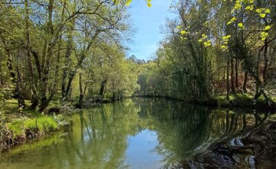 Câmara de Viana avança com monitorização ambiental dos rios Âncora e Neiva