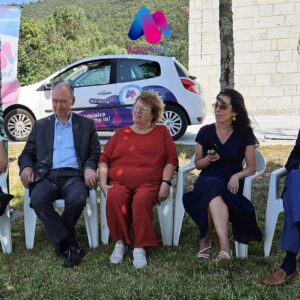 Viana em Movimento