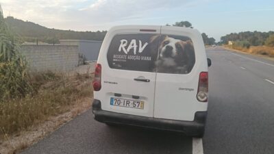 “Estamos de mãos atadas”. Associação RAV pede ajuda para pagar dívida a clínica veterinária