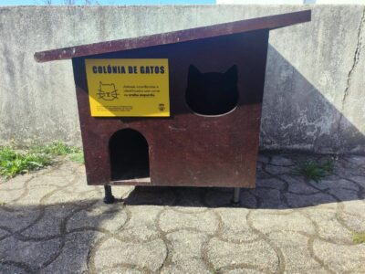 Caminha instala abrigos para gatos