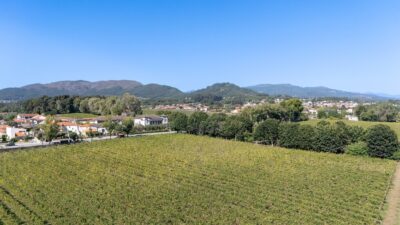 Vale do Lima volta a unir-se na candidatura a Cidade do Vinho 2027