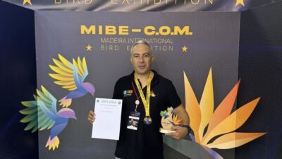 Vianense conquista duplo ouro em campeonato internacional de ornitologia