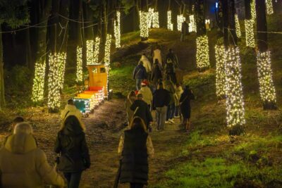Camarilândia regressa este Natal à Mata do Camarido em Caminha