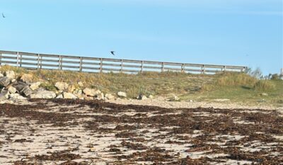 Corpo de mulher encontrado na praia Norte em Viana